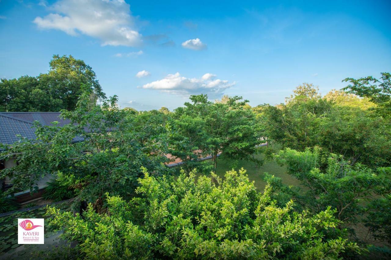 Kaveri 4* Sigiriya